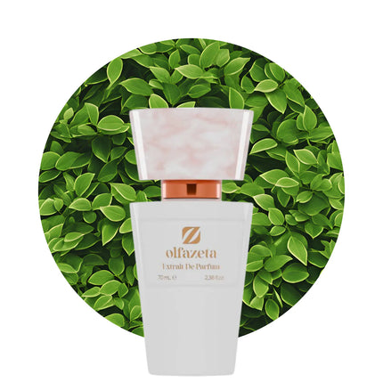 Chogan 121 - Olfazeta Secret Desire Extrait de Parfum