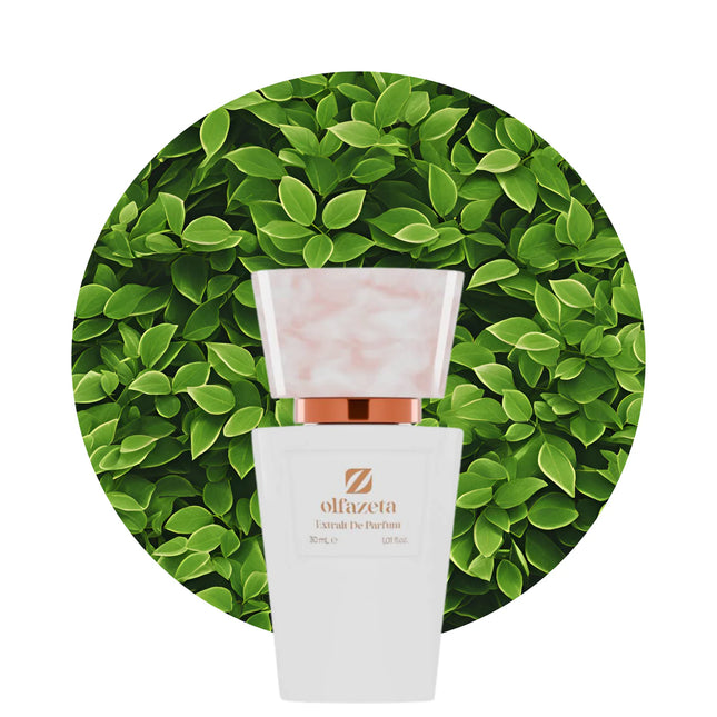 Chogan 121 - Olfazeta Secret Desire Extrait de Parfum